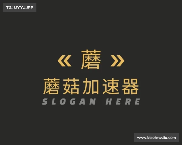 了解蘑菇加速器